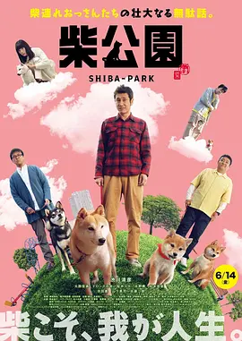 最近2018年手机中文字幕版